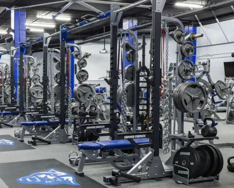 Gimnasio de Alto Rendimiento en Madrid - Proyecto Fitroom